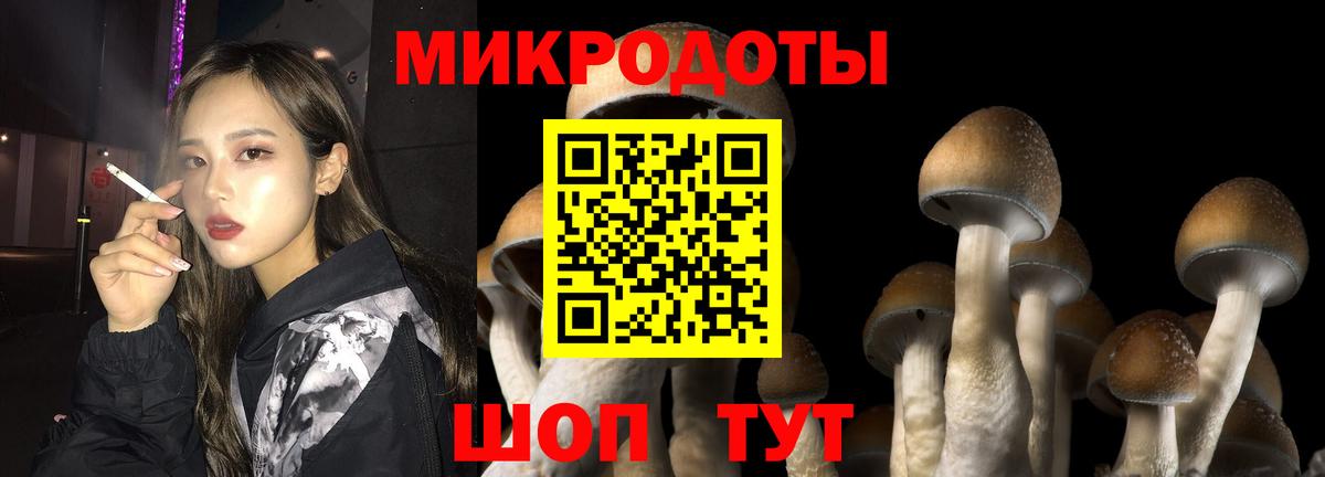 Псилоцибиновые грибы прущие грибы Усть-Кут